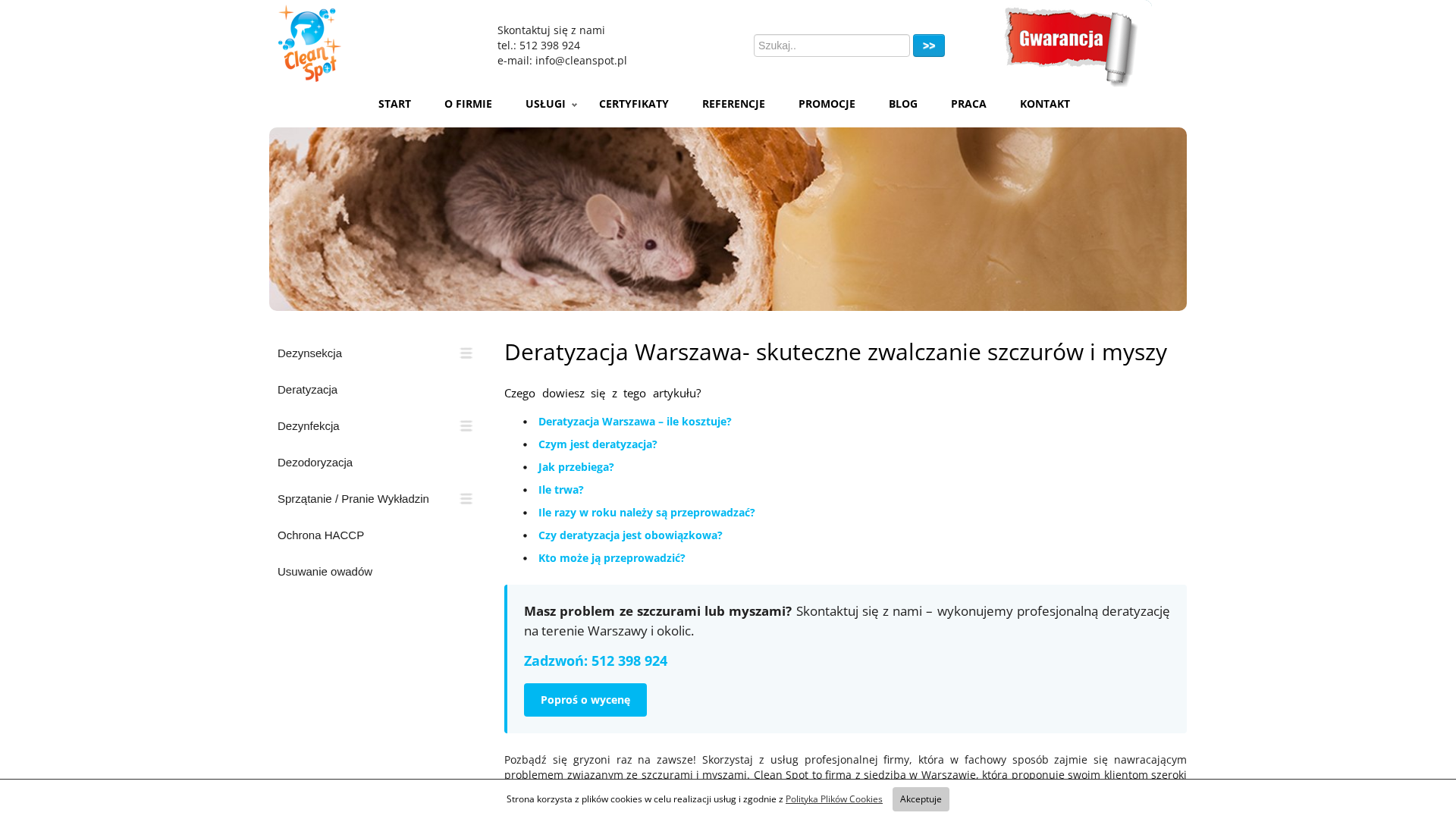Szczury i myszy w warszawskich blokach. Co zrobić, gdy pojawią się w piwnicy lub garażu?